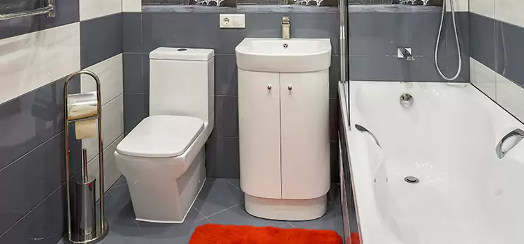 Hansgrohe Shaving Mirror Dearborn Heights